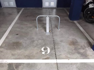 Amigos Del País 7