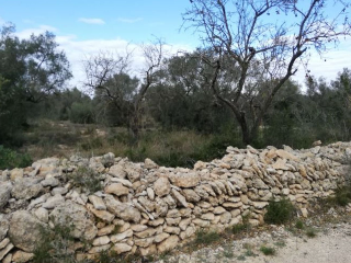 Otros en venta en San Rafael Del Río