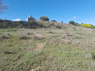 MURALLAS DE LUGO 5