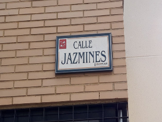JAZMINES 2