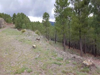 Suelo Rustico situado en Robledilla de la Jara - Madrid. 6