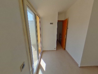 Collsacabra 12