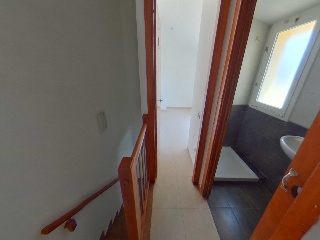 Collsacabra 26