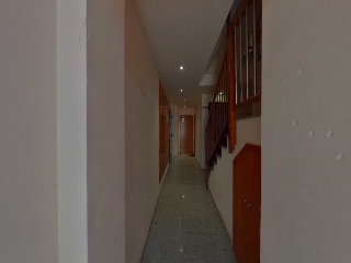 Collsacabra 28