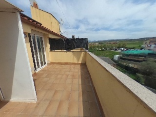 Collsacabra 39
