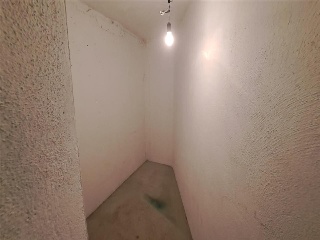 Pardo 6
