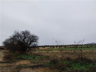 PARAJE DE LOS ADOBES 3
