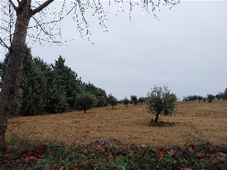 PARAJE DE LOS ADOBES 4