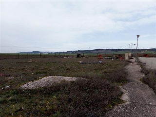 SAN ROQUE 5