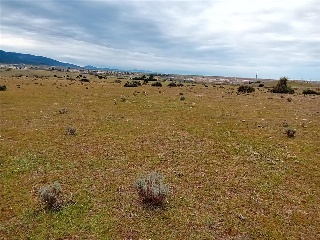 PARAJE CRUZ DEL CERRO 5