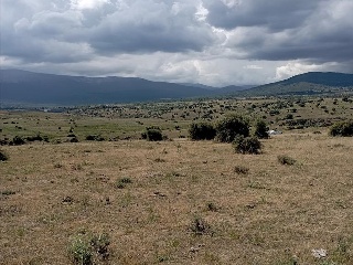 PARAJE CRUZ DEL CERRO 7
