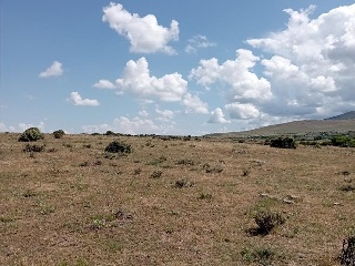 PARAJE CRUZ DEL CERRO 8