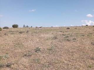 PARAJE CRUZ DEL CERRO 9