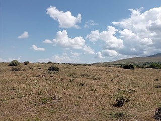 PARAJE CRUZ DEL CERRO 10