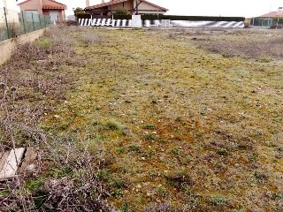 SAN ROQUE 2