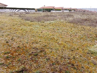 SAN ROQUE 3