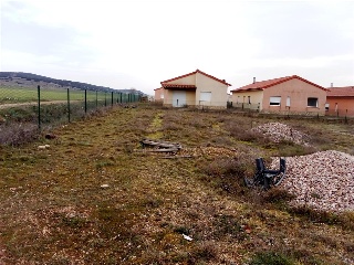 SAN ROQUE 5
