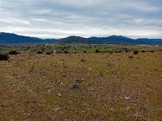 PARAJE CRUZ DEL CERRO 4