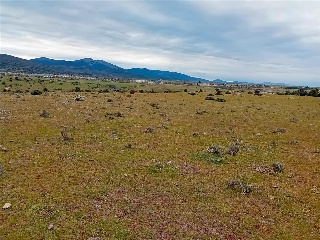 PARAJE CRUZ DEL CERRO 5