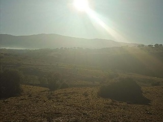 PARAJE CRUZ DEL CERRO 6
