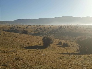 PARAJE CRUZ DEL CERRO 7