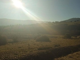 PARAJE CRUZ DEL CERRO 9
