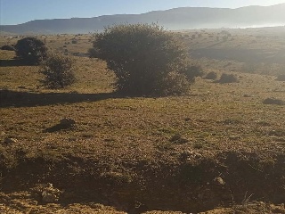 PARAJE CRUZ DEL CERRO 11