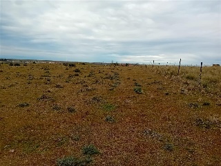 PARAJE CRUZ DEL CERRO 8