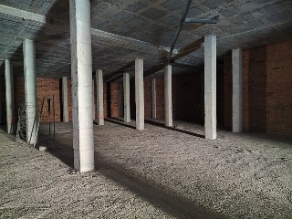 PASTEUR 6