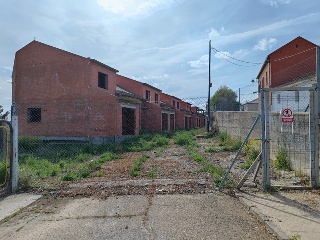 SOLANA 9