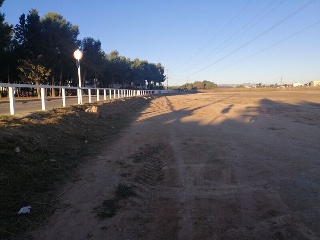 MONTGO 6