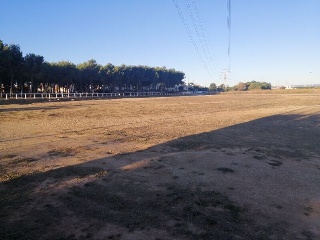 MONTGO 7