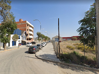 CARDENAL REIG 6