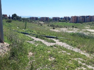 Otros en venta en Murcia