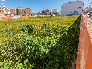 Suelos en Burriana - Castellón - 22