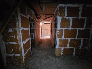 MIGDIA 29