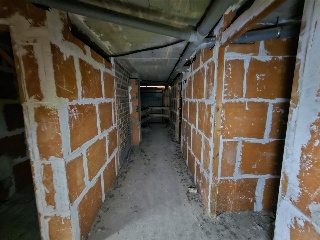 MIGDIA 31