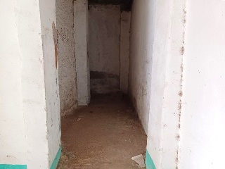 Molino 30