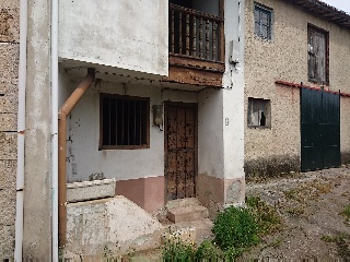 Pando 17