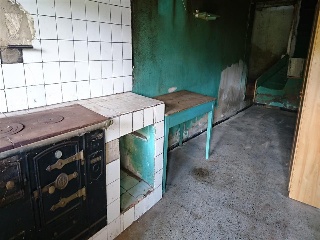 Pando 21