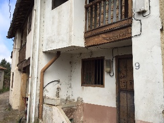 Pando 29