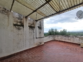 44