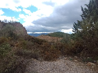3. Parcela 6