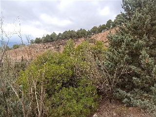 3. Parcela 8