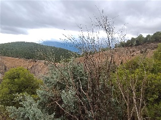 3. Parcela 9