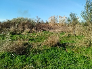 PARAJE RAFOL 10