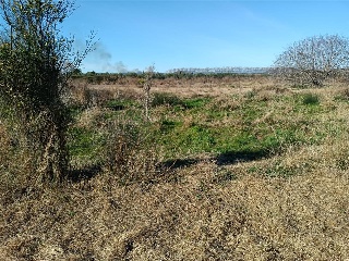 PARAJE RAFOL 12