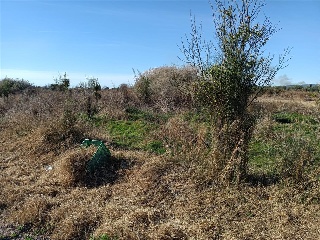 PARAJE RAFOL 14