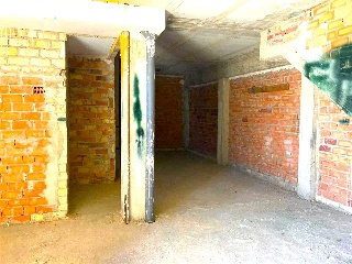 Guadiamar 15