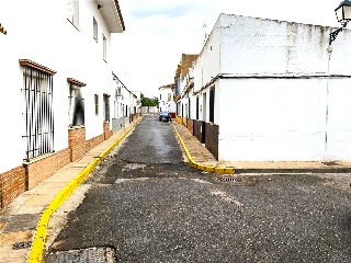 Guadiamar 21